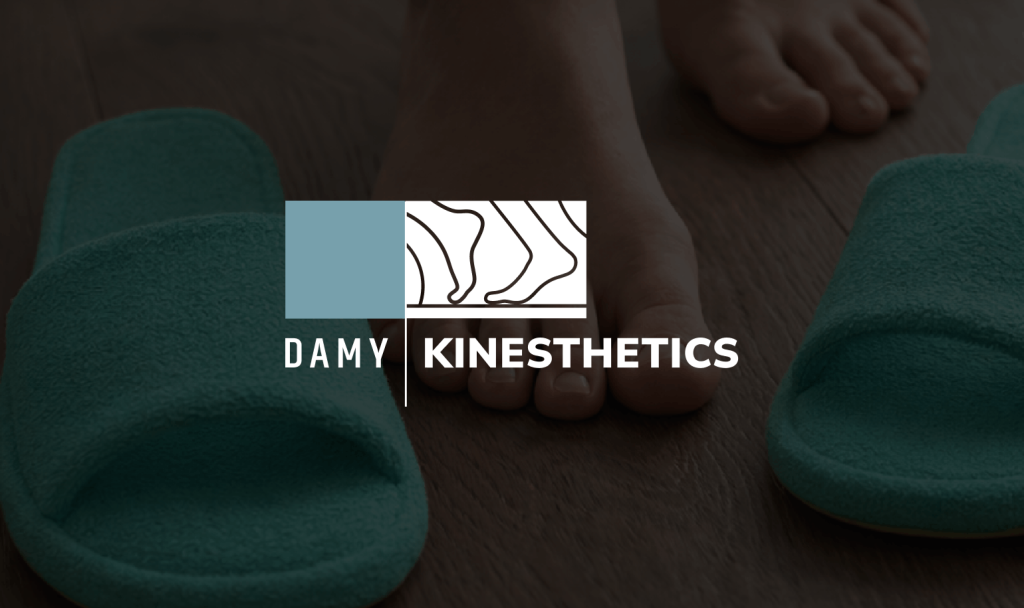  Технология DAMY KINESTHETICS
