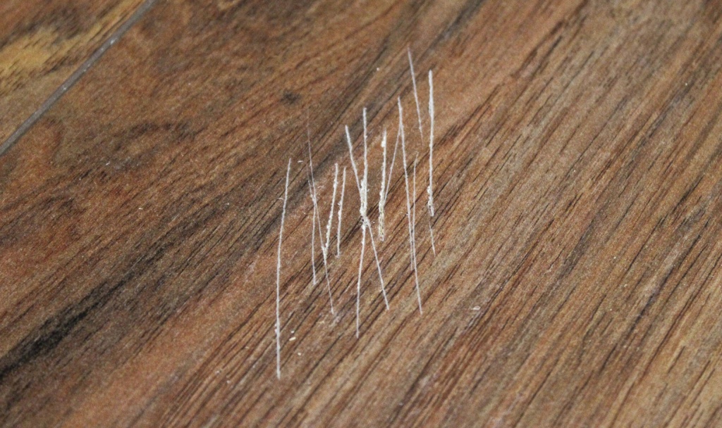 Любое напольное покрытие можно поцарапать с применением усилий